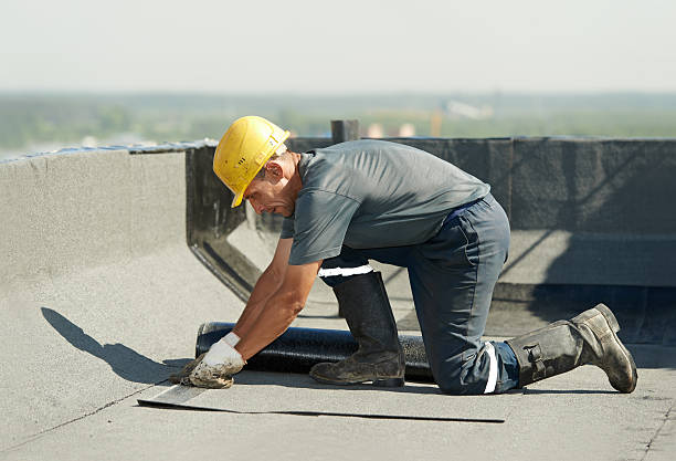 Best Local Insulation Services  in Perry, OH